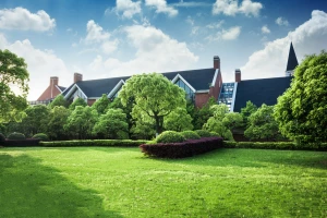 Projektowanie wnętrza siłowni: Jak stworzyć przestrzeń sprzyjającą treningom i motywacji